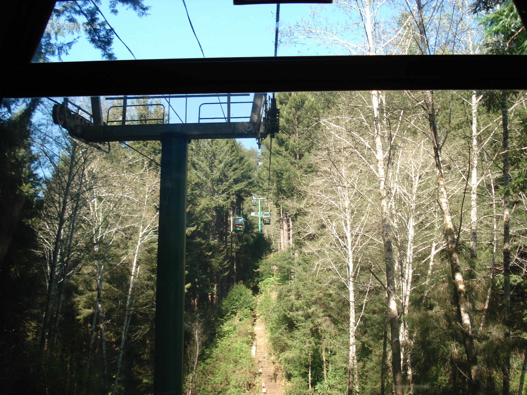 Our Trip to Redwood National Park